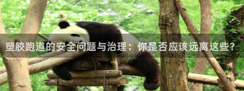 谈球吧体育app下载官网手机版安装:塑胶跑道的安全问题与治理